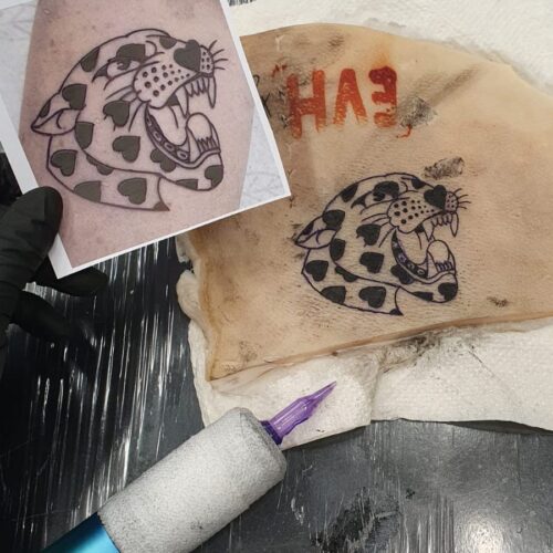 leren tatoeëren op varkenshuid leren tatoeëren op varkenshuid